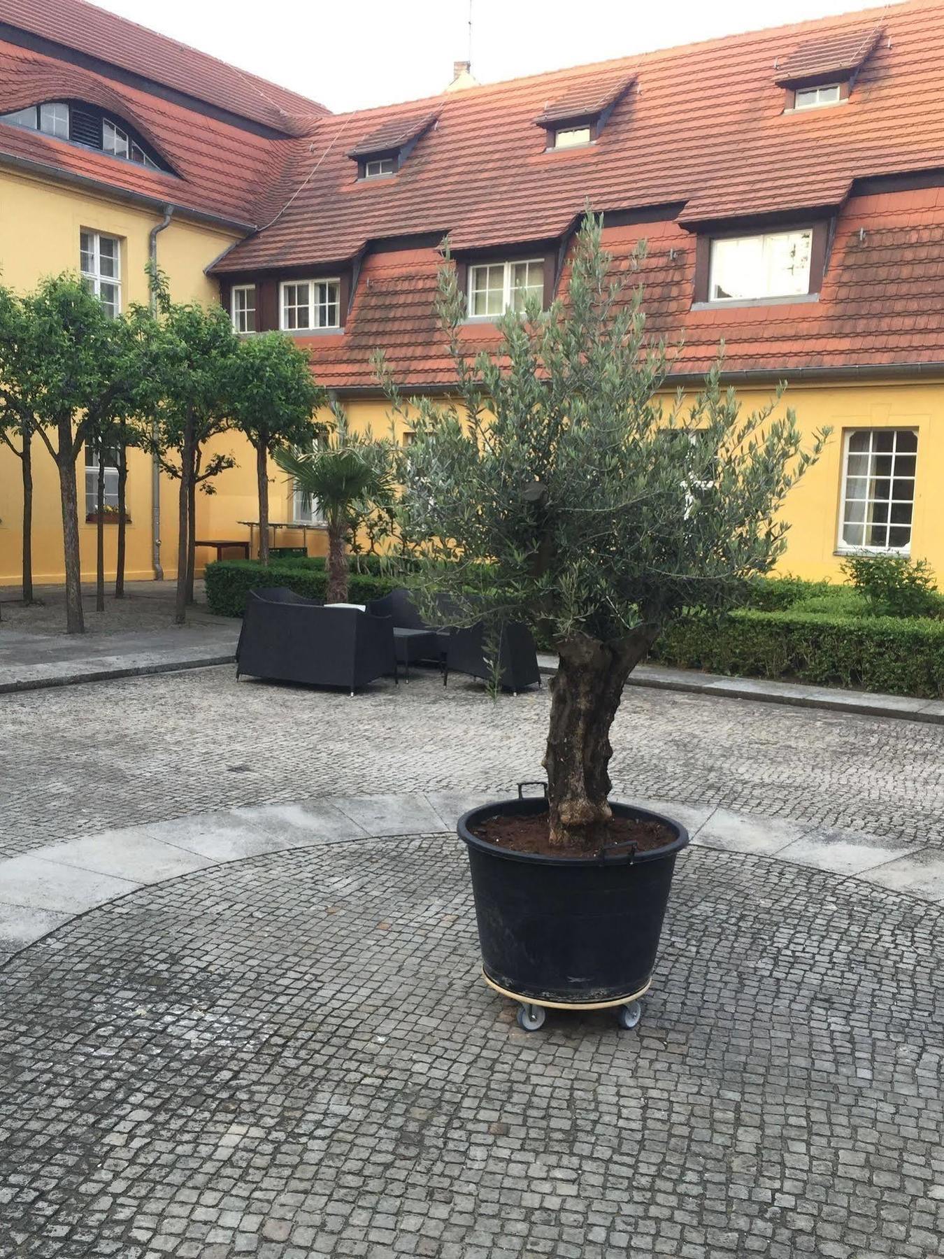Hotel Vierseithof Luckenwalde Eksteriør billede